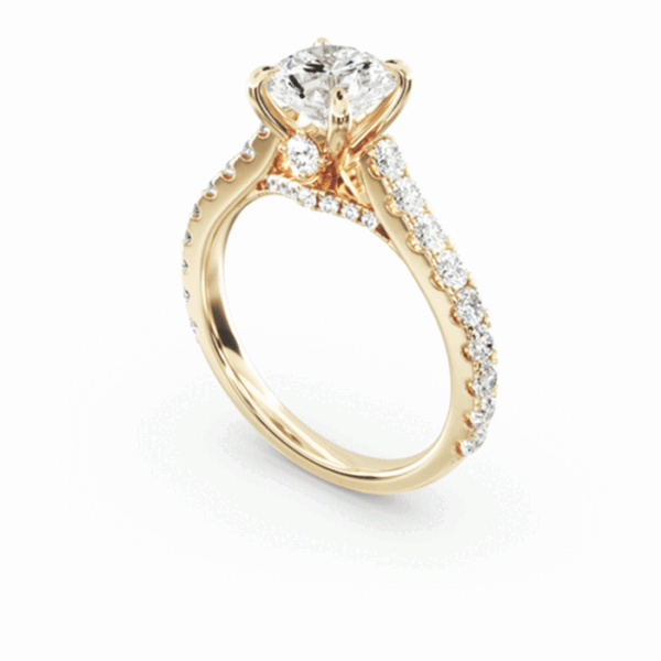 Monopetro Round Cut Diamond