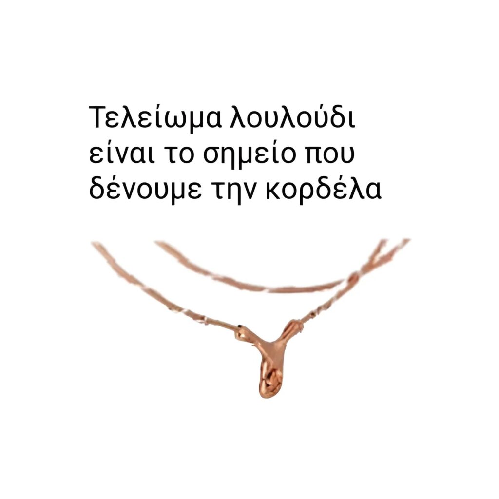 Στέφανα γάμου ασημένια σε ροζ χρυσό